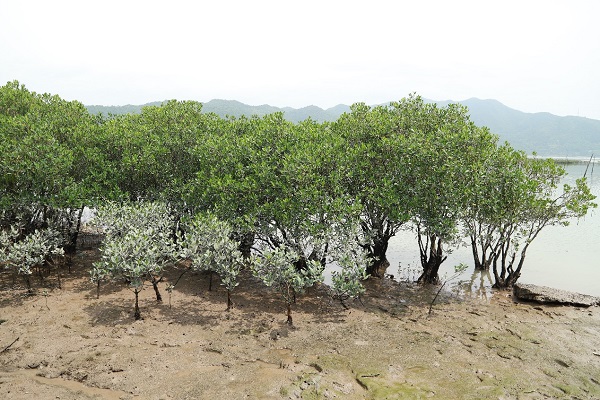 DƬ1.jpg
